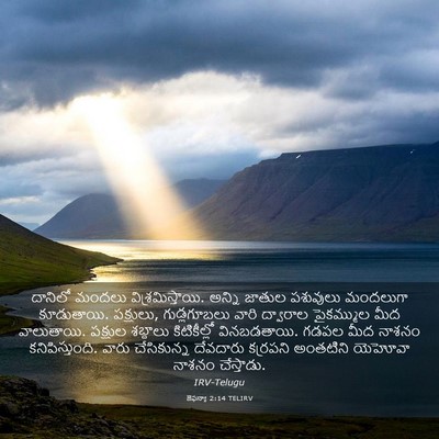 Picture 03 - జెఫన్యా 2:14 TELIRV - దానిలో మందలు - Bible Verse Picture
