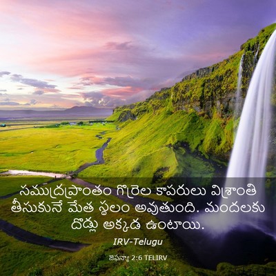 Picture 03 - జెఫన్యా 2:6 TELIRV - సముద్రప్రాంతం - Bible Verse Picture