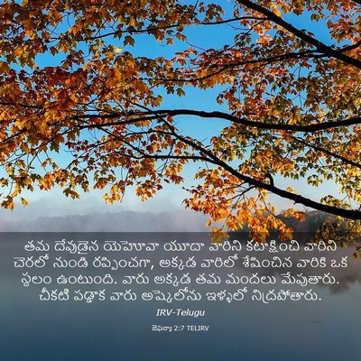 Picture 03 - జెఫన్యా 2:7 TELIRV - తమ దేవుడైన యెహోవా - Bible Verse Picture