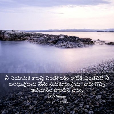 Picture 03 - జెఫన్యా 3:18 TELIRV - నీ నియామక కాలపు - Bible Verse Picture