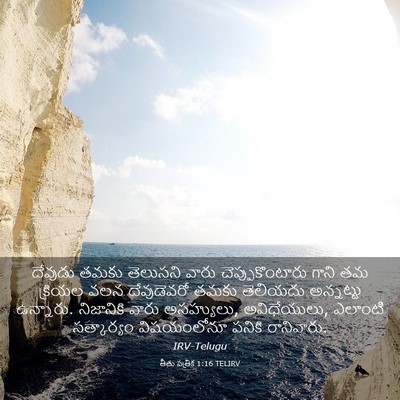 Picture 03 - తీతు పత్రిక 1:16 TELIRV - దేవుడు తమకు - Bible Verse Picture