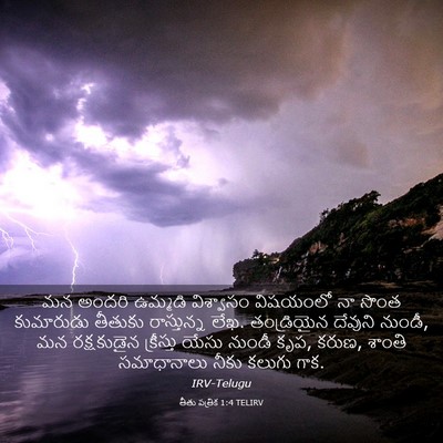 Picture 03 - తీతు పత్రిక 1:4 TELIRV - మన అందరి ఉమ్మడి - Bible Verse Picture