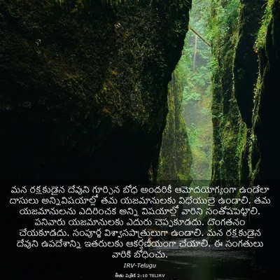 Picture 03 - తీతు పత్రిక 2:10 TELIRV - మన రక్షకుడైన - Bible Verse Picture