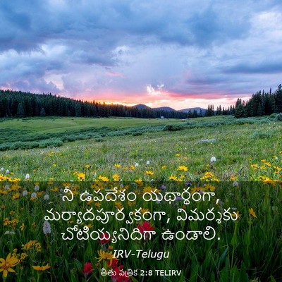 Picture 03 - తీతు పత్రిక 2:8 TELIRV - నీ ఉపదేశం - Bible Verse Picture