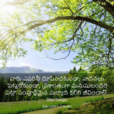 Picture 03 - తీతు పత్రిక 3:2 TELIRV - వారు ఎవరినీ - Bible Verse Picture