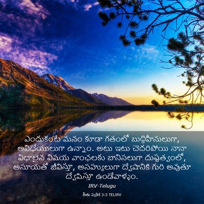 Picture 03 - తీతు పత్రిక 3:3 TELIRV - ఎందుకంటే మనం కూడా - Bible Verse Picture