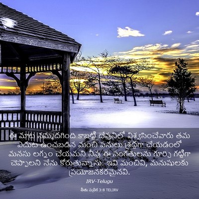 Picture 03 - తీతు పత్రిక 3:8 TELIRV - ఈ మాట నమ్మదగింది - Bible Verse Picture