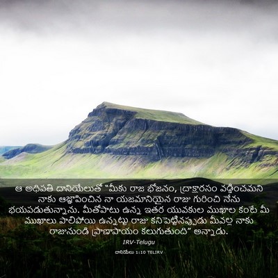 Picture 03 - దానియేలు 1:10 TELIRV - ఆ అధిపతి - Bible Verse Picture
