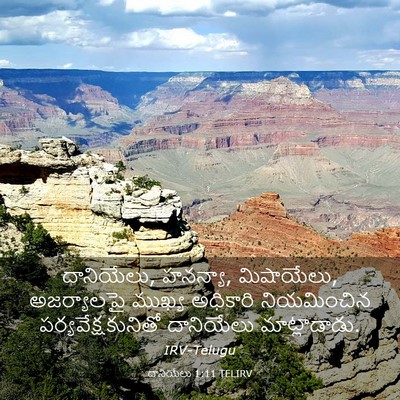 Picture 03 - దానియేలు 1:11 TELIRV - దానియేలు, హనన్యా, - Bible Verse Picture