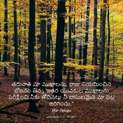 Picture 03 - దానియేలు 1:13 TELIRV - తరువాత మా ముఖాలను, - Bible Verse Picture