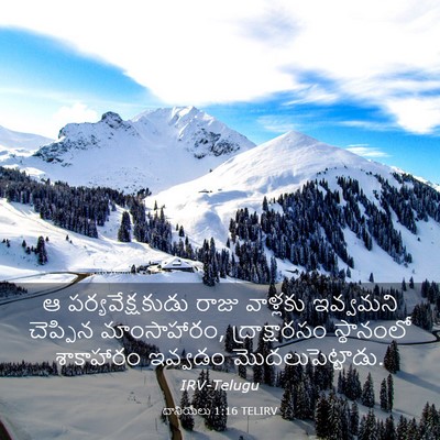Picture 03 - దానియేలు 1:16 TELIRV - ఆ పర్యవేక్షకుడు - Bible Verse Picture