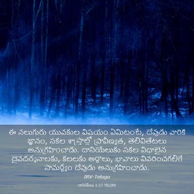 Picture 03 - దానియేలు 1:17 TELIRV - ఈ నలుగురు యువకుల - Bible Verse Picture