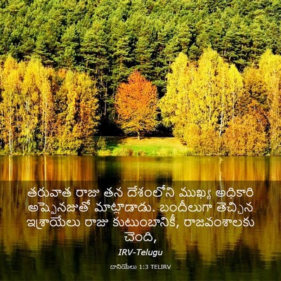 Picture 03 - దానియేలు 1:3 TELIRV - తరువాత రాజు తన - Bible Verse Picture