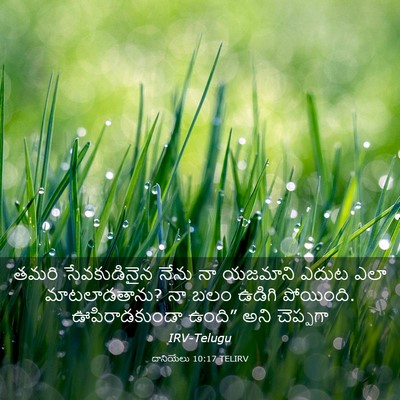 Picture 03 - దానియేలు 10:17 TELIRV - తమరి సేవకుడినైన - Bible Verse Picture