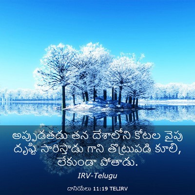 Picture 03 - దానియేలు 11:19 TELIRV - అప్పుడతడు తన - Bible Verse Picture