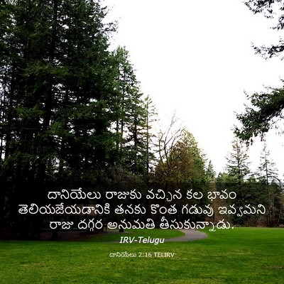 Picture 03 - దానియేలు 2:16 TELIRV - దానియేలు రాజుకు - Bible Verse Picture
