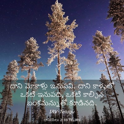 Picture 03 - దానియేలు 2:33 TELIRV - దాని మోకాళ్లు - Bible Verse Picture