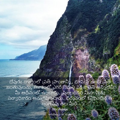 Picture 03 - దానియేలు 2:38 TELIRV - దేవుడు రాజ్యంలో - Bible Verse Picture