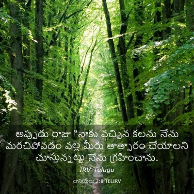 Picture 03 - దానియేలు 2:8 TELIRV - అప్పుడు రాజు - Bible Verse Picture
