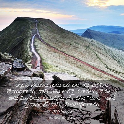 Picture 03 - దానియేలు 3:1 TELIRV - రాజైన - Bible Verse Picture