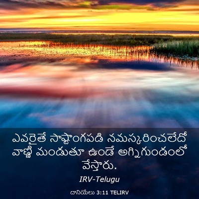 Picture 03 - దానియేలు 3:11 TELIRV - ఎవరైతే - Bible Verse Picture