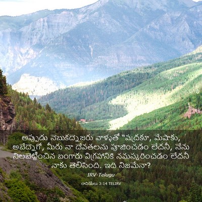 Picture 03 - దానియేలు 3:14 TELIRV - అప్పుడు - Bible Verse Picture
