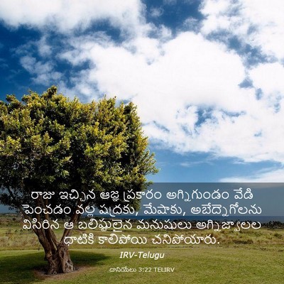 Picture 03 - దానియేలు 3:22 TELIRV - రాజు ఇచ్చిన ఆజ్ఞ - Bible Verse Picture