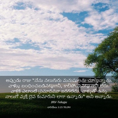 Picture 03 - దానియేలు 3:25 TELIRV - అప్పుడు రాజు - Bible Verse Picture
