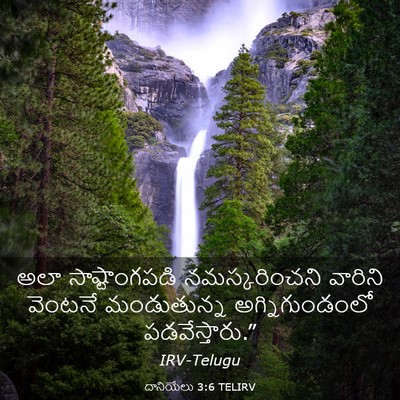Picture 03 - దానియేలు 3:6 TELIRV - అలా సాష్టాంగపడి - Bible Verse Picture