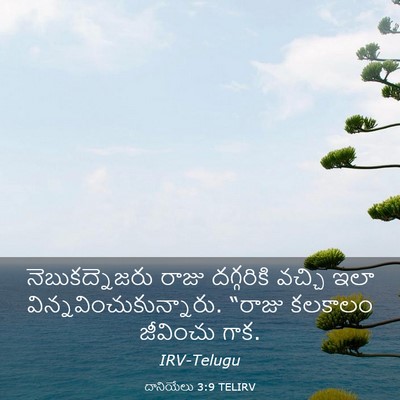 Picture 03 - దానియేలు 3:9 TELIRV - నెబుకద్నెజరు రాజు - Bible Verse Picture