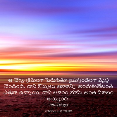 Picture 03 - దానియేలు 4:11 TELIRV - ఆ చెట్టు క్రమంగా - Bible Verse Picture