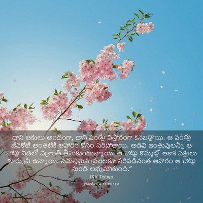 Picture 03 - దానియేలు 4:12 TELIRV - దాని ఆకులు అందంగా, - Bible Verse Picture