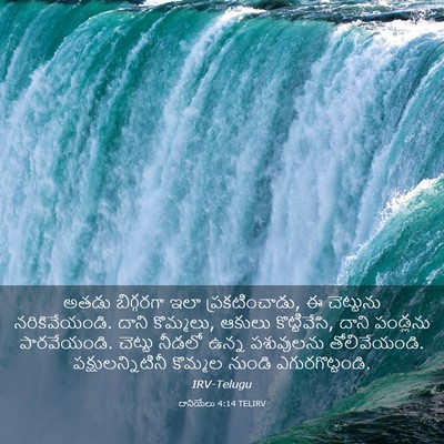 Picture 03 - దానియేలు 4:14 TELIRV - అతడు బిగ్గరగా ఇలా - Bible Verse Picture
