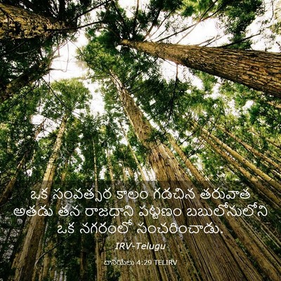 Picture 03 - దానియేలు 4:29 TELIRV - ఒక సంవత్సర కాలం - Bible Verse Picture