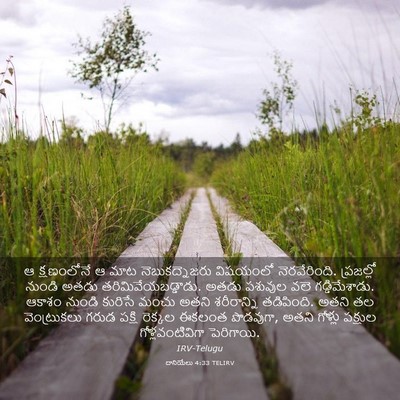 Picture 03 - దానియేలు 4:33 TELIRV - ఆ క్షణంలోనే ఆ మాట - Bible Verse Picture