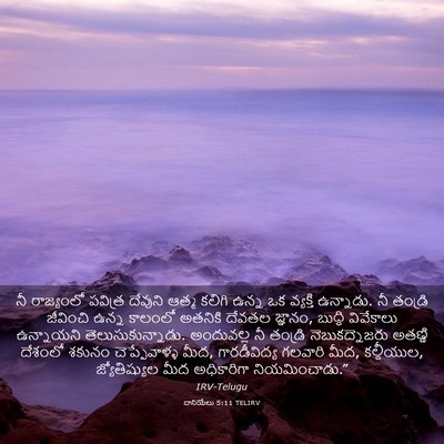 Picture 03 - దానియేలు 5:11 TELIRV - నీ రాజ్యంలో - Bible Verse Picture