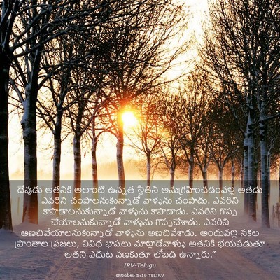 Picture 03 - దానియేలు 5:19 TELIRV - దేవుడు అతనికి - Bible Verse Picture