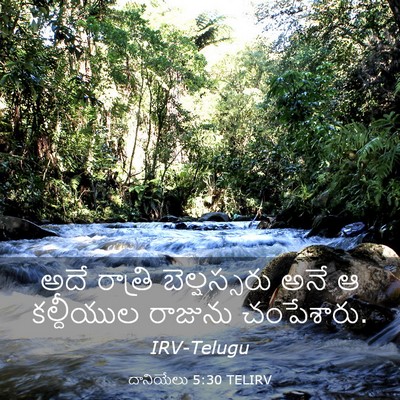 Picture 03 - దానియేలు 5:30 TELIRV - అదే రాత్రి - Bible Verse Picture