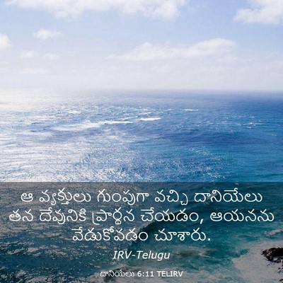 Picture 03 - దానియేలు 6:11 TELIRV - ఆ వ్యక్తులు - Bible Verse Picture