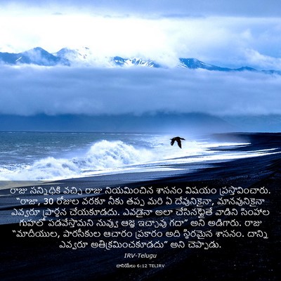 Picture 03 - దానియేలు 6:12 TELIRV - రాజు సన్నిధికి - Bible Verse Picture