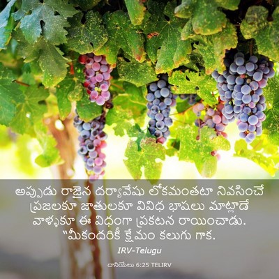 Picture 03 - దానియేలు 6:25 TELIRV - అప్పుడు రాజైన - Bible Verse Picture