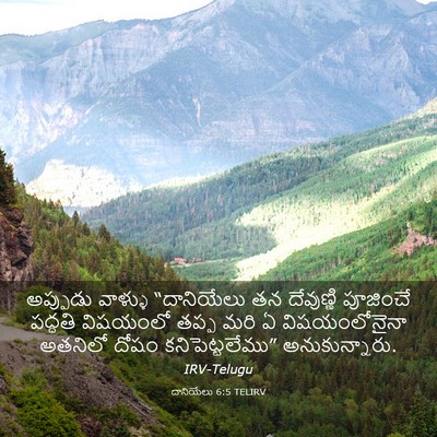 Picture 03 - దానియేలు 6:5 TELIRV - అప్పుడు వాళ్ళు - Bible Verse Picture