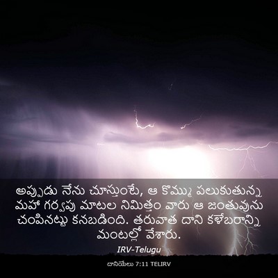Picture 03 - దానియేలు 7:11 TELIRV - అప్పుడు నేను - Bible Verse Picture