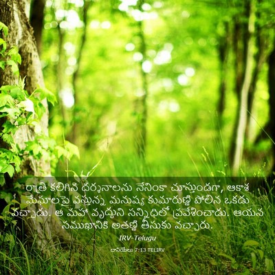 Picture 03 - దానియేలు 7:13 TELIRV - రాత్రి కలిగిన - Bible Verse Picture