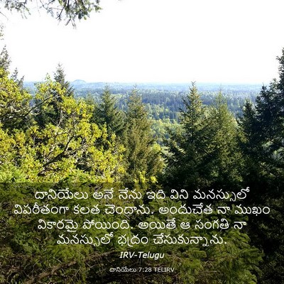 Picture 03 - దానియేలు 7:28 TELIRV - దానియేలు అనే నేను - Bible Verse Picture