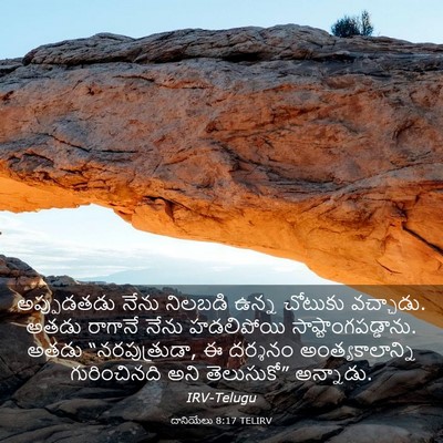 Picture 03 - దానియేలు 8:17 TELIRV - అప్పుడతడు నేను - Bible Verse Picture