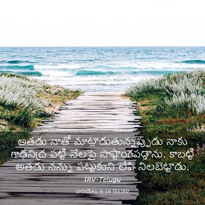 Picture 03 - దానియేలు 8:18 TELIRV - అతడు నాతో - Bible Verse Picture