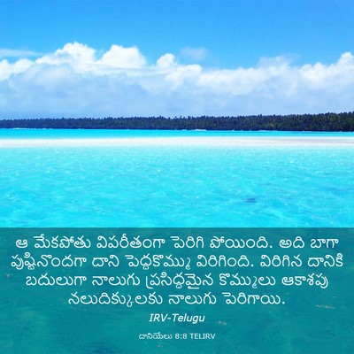 Picture 03 - దానియేలు 8:8 TELIRV - ఆ మేకపోతు - Bible Verse Picture