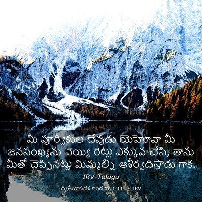 Picture 03 - ద్వితీయోపదేశ కాండము 1:11 TELIRV - మీ పూర్వీకుల - Bible Verse Picture