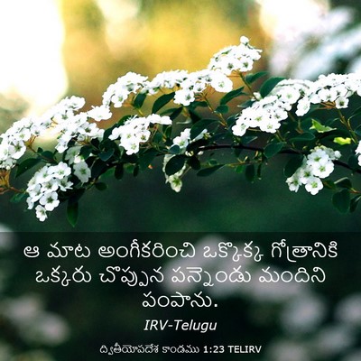 Picture 03 - ద్వితీయోపదేశ కాండము 1:23 TELIRV - ఆ మాట అంగీకరించి - Bible Verse Picture